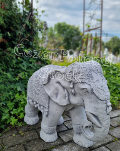 Zdjęcie produktu 1513 2
